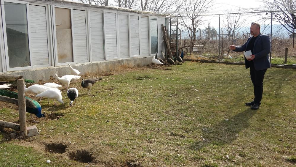 Hobisi mesleği oldu tanesini 5 bin TL'ye satıyor - Resim : 4