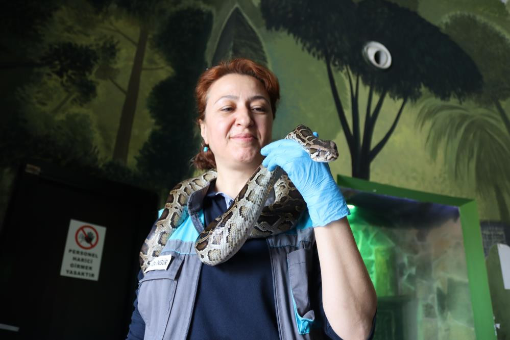 Kayserili Sevda ekmek parasını yılanlardan çıkarıyor - Resim : 1