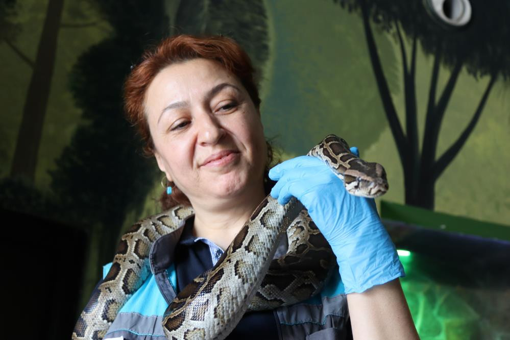 Kayserili Sevda ekmek parasını yılanlardan çıkarıyor - Resim : 2