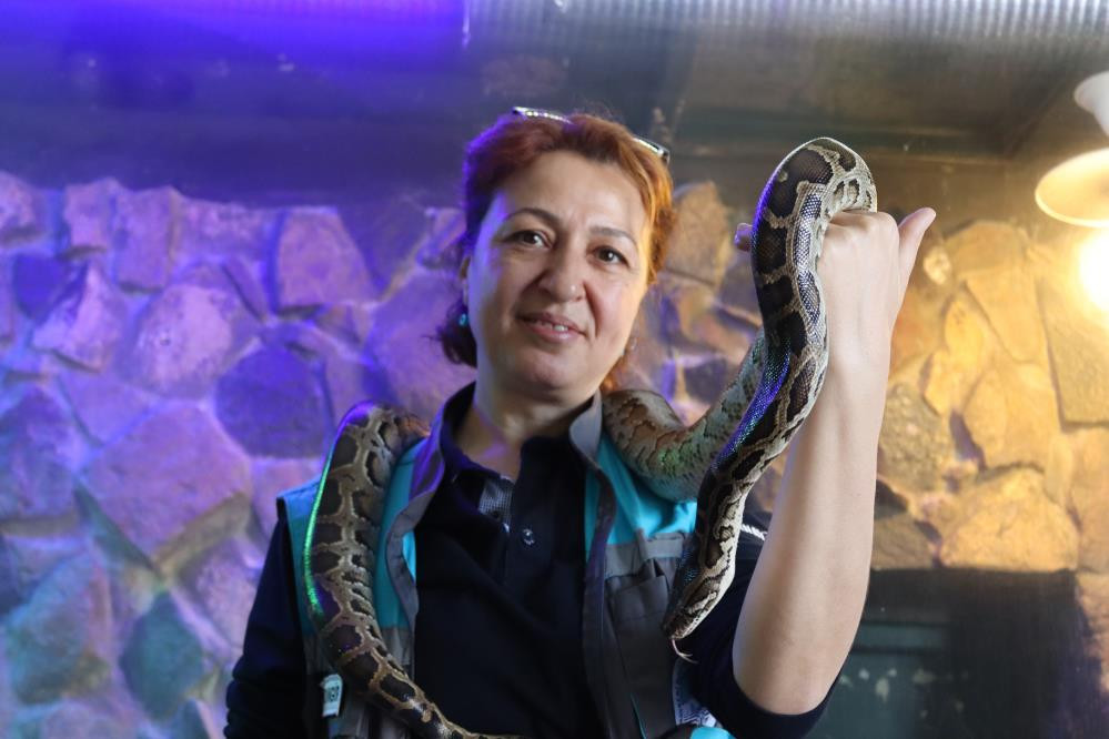 Kayserili Sevda ekmek parasını yılanlardan çıkarıyor - Resim : 3