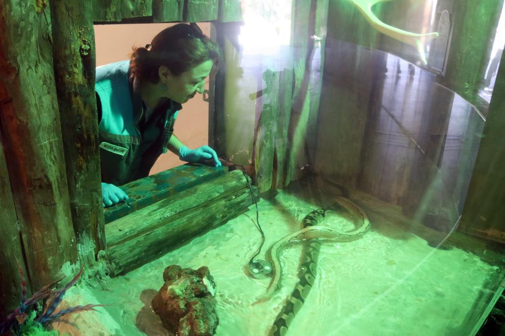 Kayserili Sevda ekmek parasını yılanlardan çıkarıyor - Resim : 5