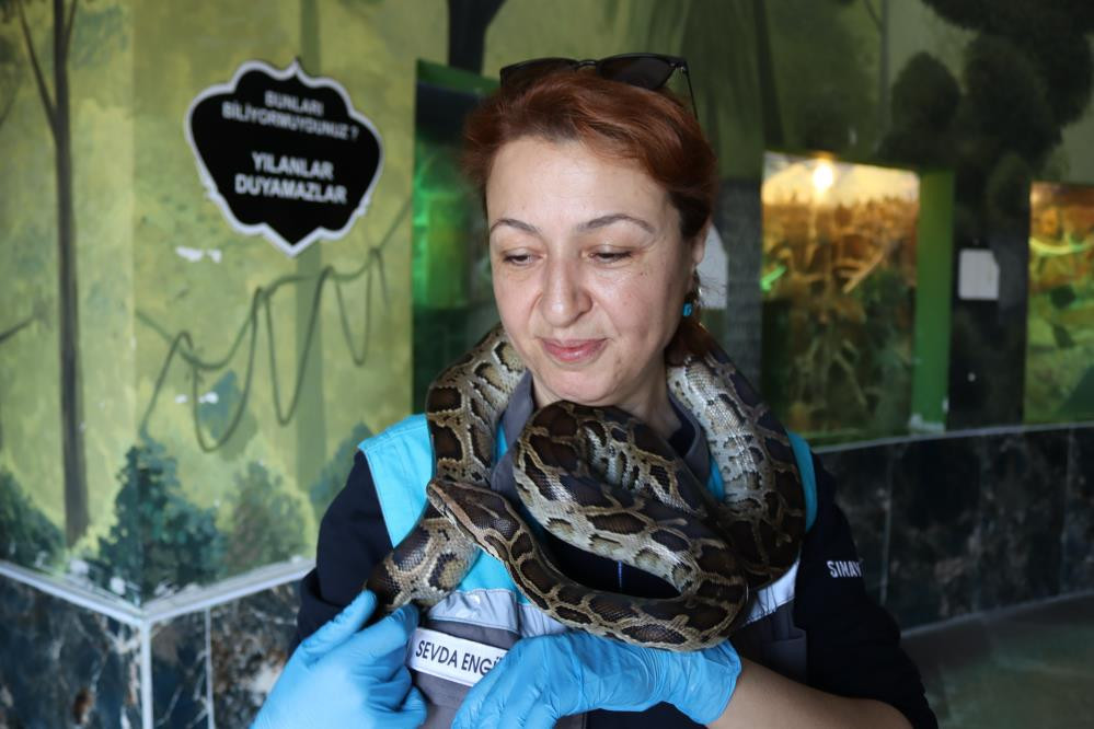 Kayserili Sevda ekmek parasını yılanlardan çıkarıyor - Resim : 6