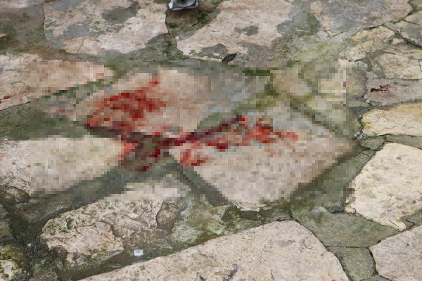 Kuşadası Belediyesi eski Başkanı Özer Kayalı'ya silahlı saldırı. Öğle yemeği için restorana gitmişti - Resim : 1