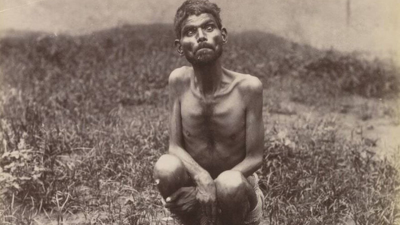 Ormanda kurtlar tarafından büyütülen, dolunayda uluyup, çiğ et yiyen çocuk - Resim : 3