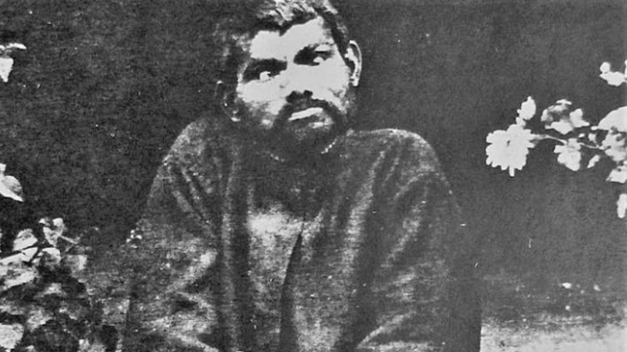 Ormanda kurtlar tarafından büyütülen, dolunayda uluyup, çiğ et yiyen çocuk - Resim : 1