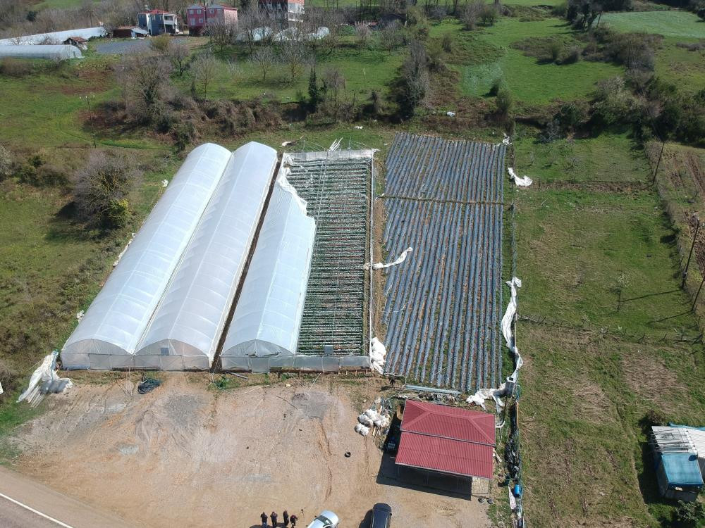 Fırtına çilek serasını uçurdu - Resim : 1