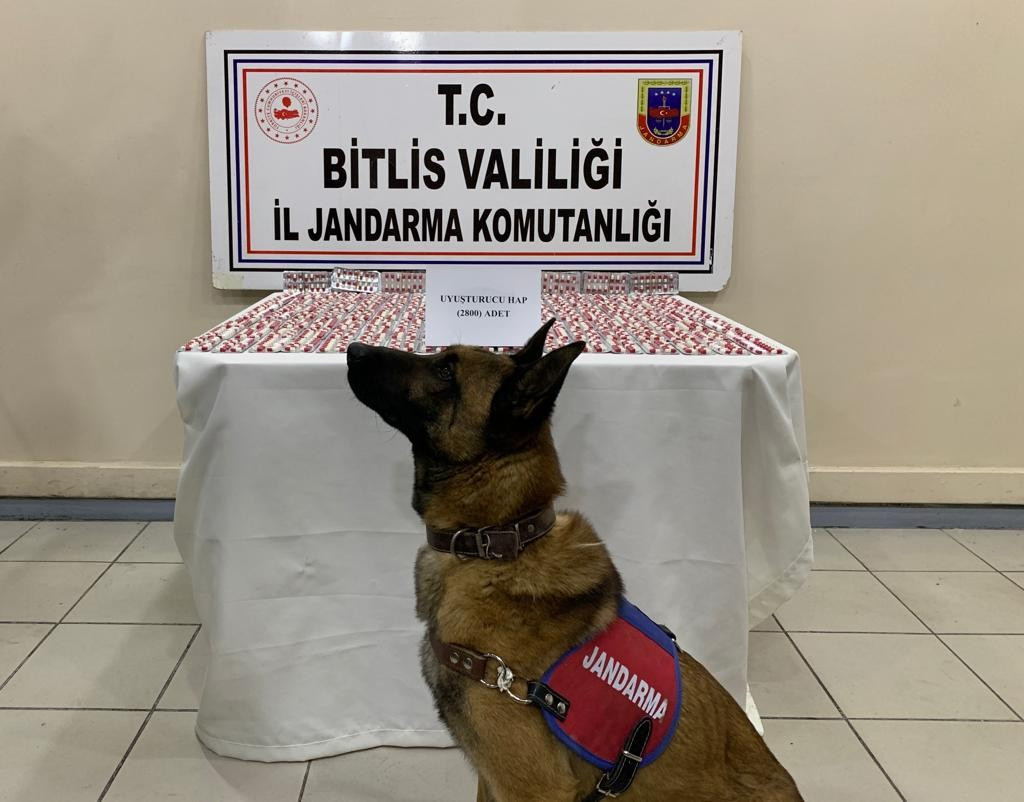 Yolcu otobüsündeki uyuşturucuyu narkotik köpeği 'Yakar' buldu - Resim : 2