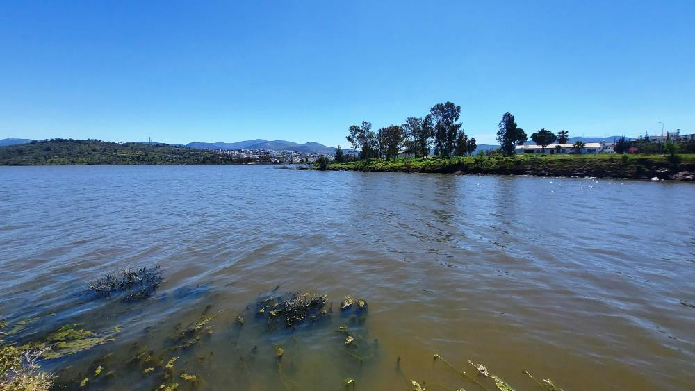 Bodrum bu yaz rahat nefes alacak. Kuruyan baraj dolup taştı - Resim : 1
