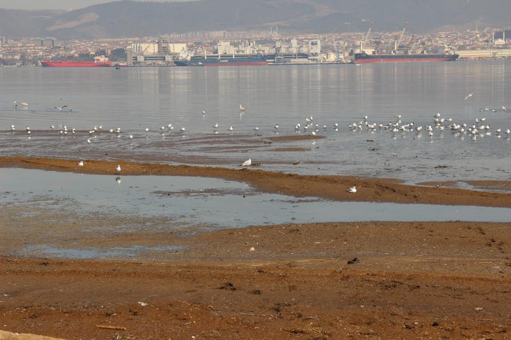 Sahile inenin burnu tıkanıyor kaçacak delik arıyor - Resim : 2