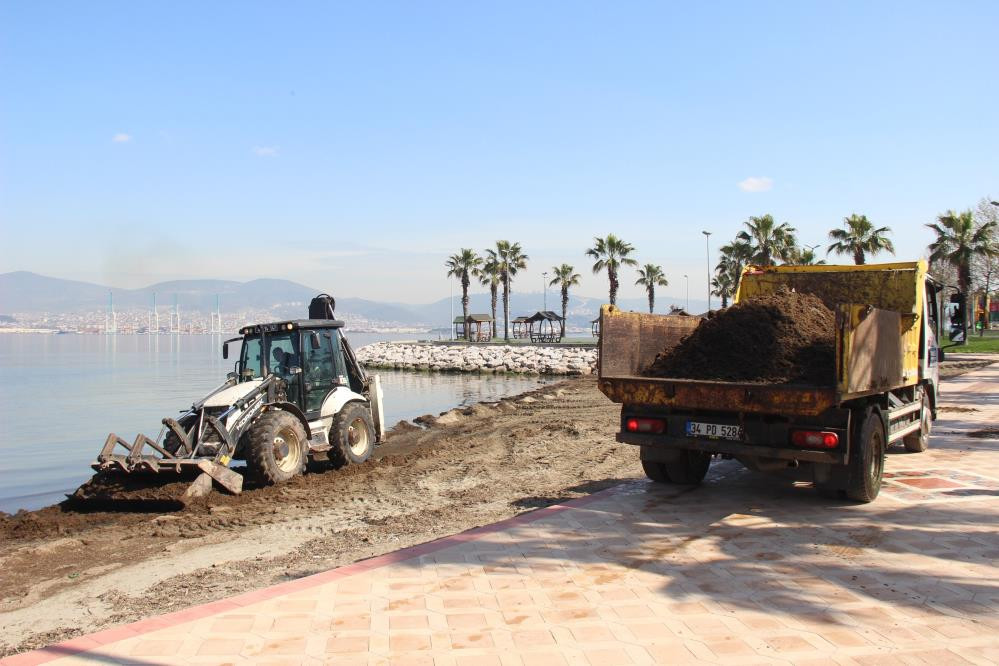Sahile inenin burnu tıkanıyor kaçacak delik arıyor - Resim : 5