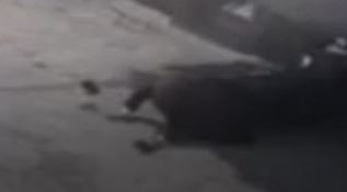 Geri giden kamyon şoförü vatandaşı altına alıp ezdi - Resim : 1