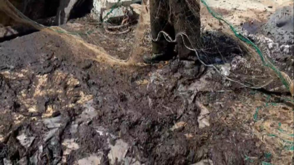 Saros Körfezi'ndeki balıkçılar bu görüntünün sebebini merak ediyor - Resim : 1