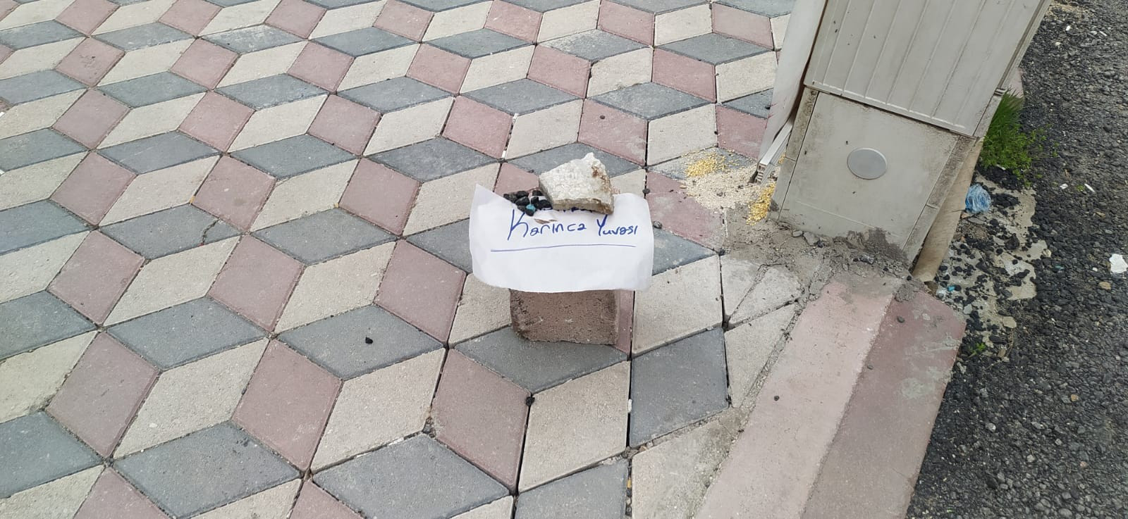 Elazığ'dan duygulandıran not: Karınca yuvası dikkat! - Resim : 1