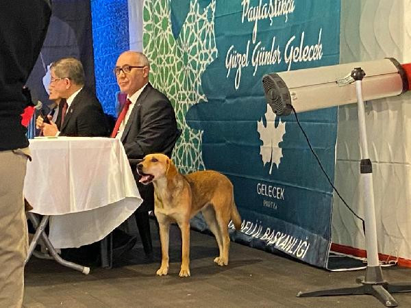 Herkes konuştu sıra ona geldi, Davutoğlu Suriyelileri gönderecek mi? - Resim : 4