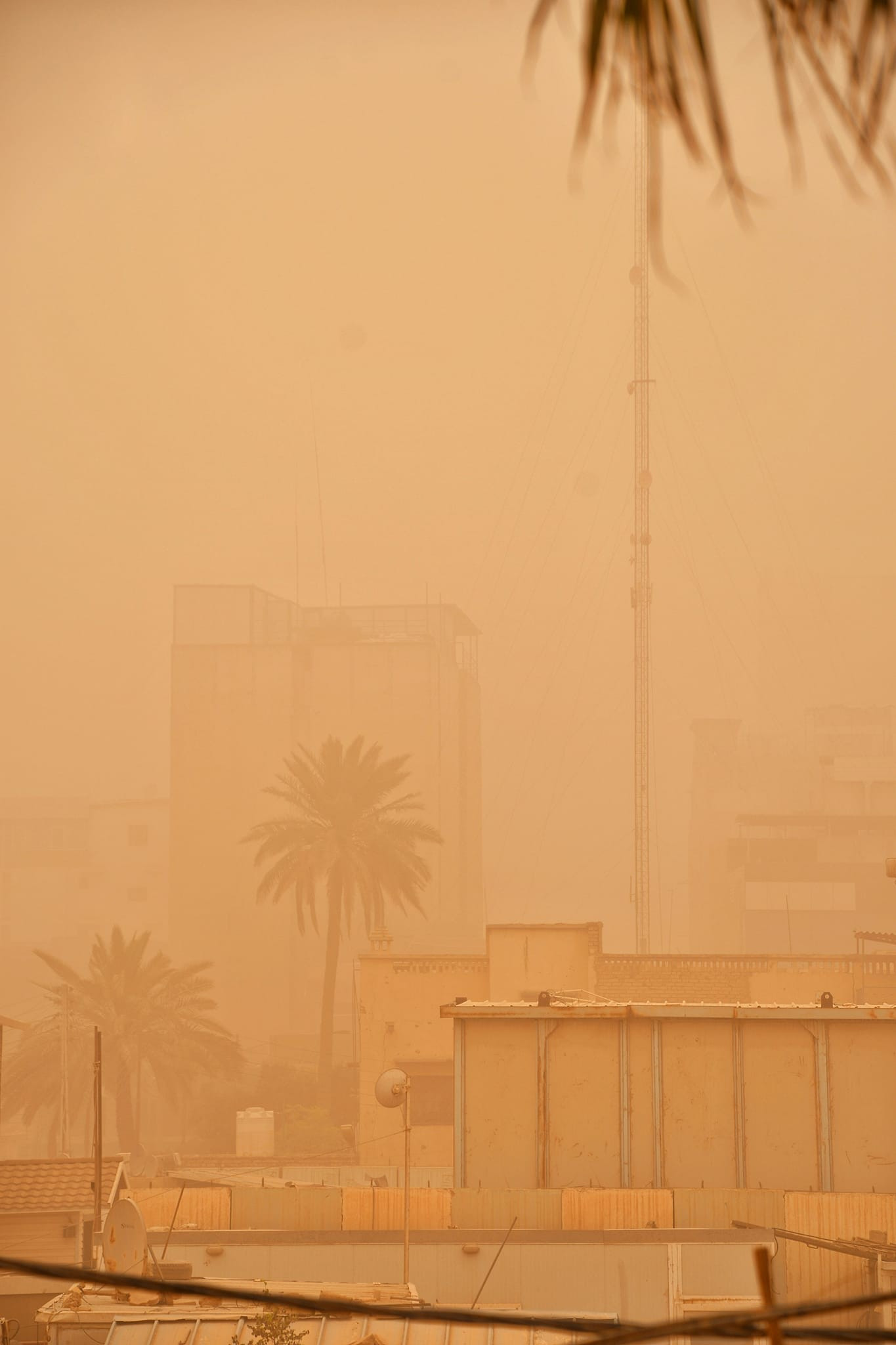 Necef'te uçuşlar iptal edildi - Resim : 1