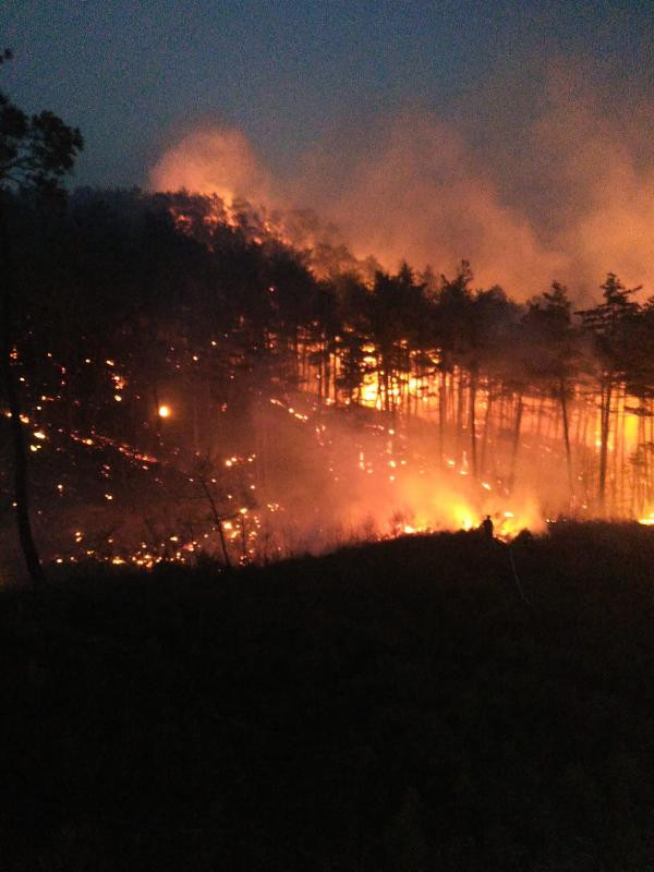 Çanakkale ormanları kül oldu - Resim : 7
