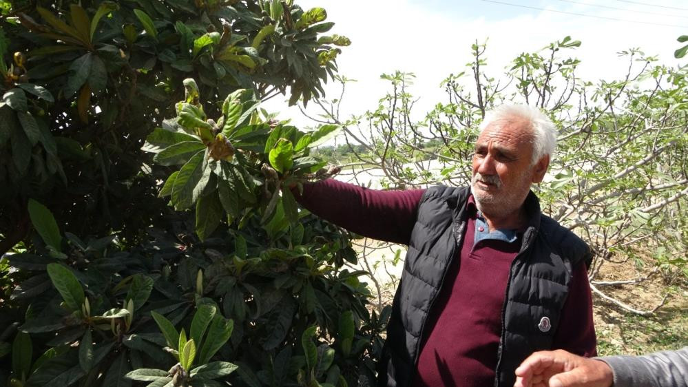 Üreticinin toz çilesi. Göz gözü görmüyor - Resim : 9