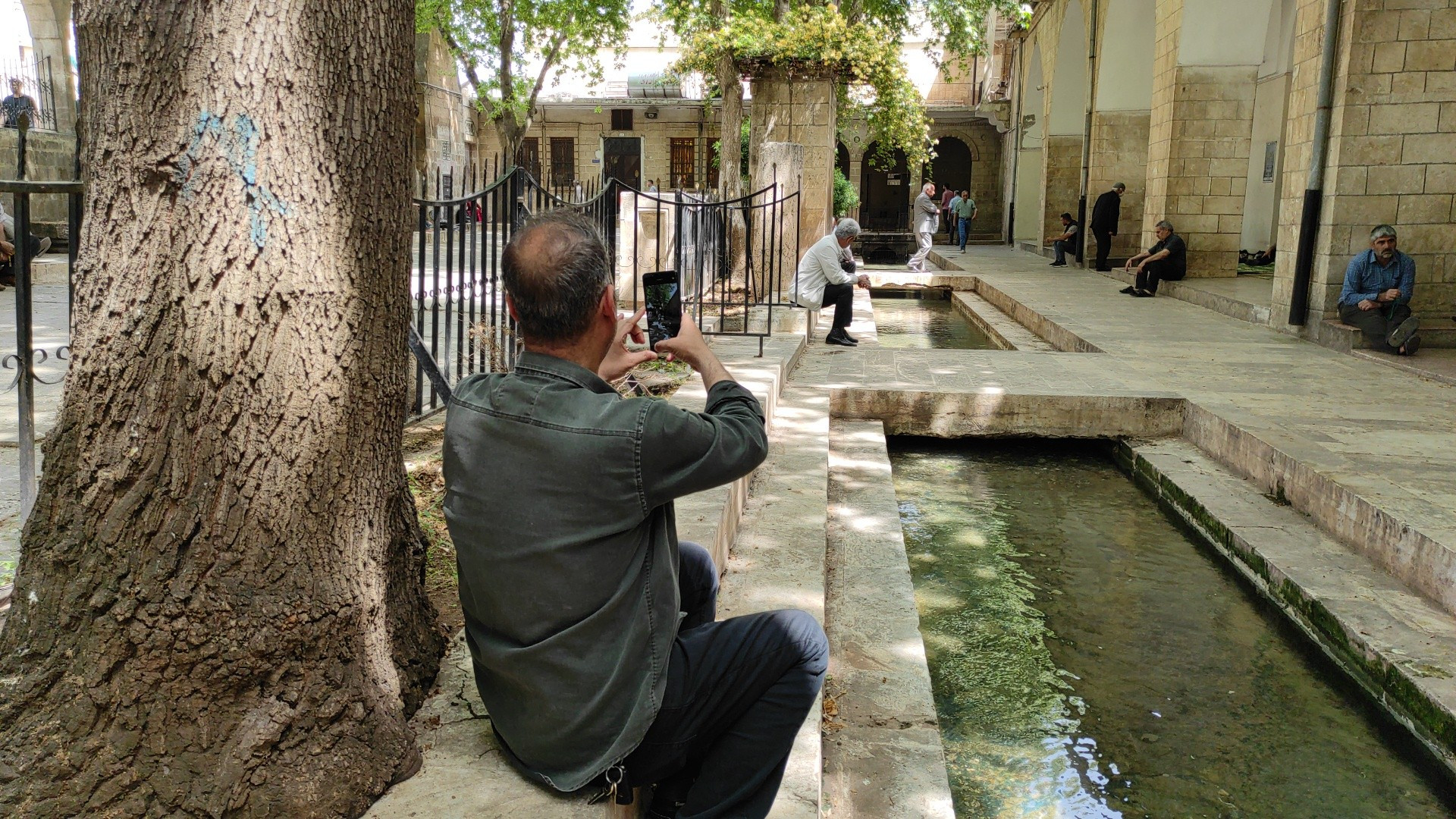 Balıklıgöl'de korkutan manzara. Birer birer ölüyorlar - Resim : 10
