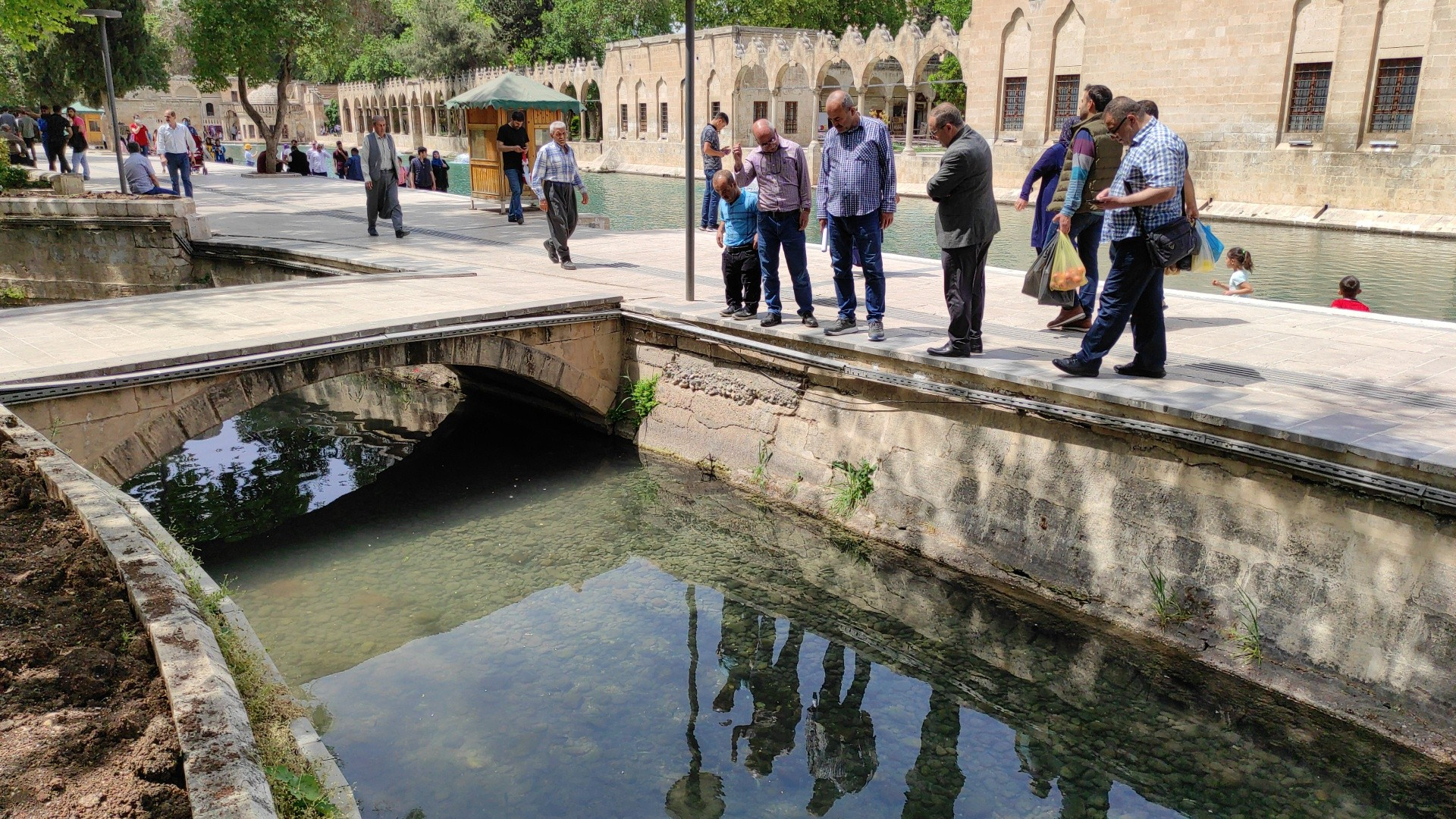 Balıklıgöl'de korkutan manzara. Birer birer ölüyorlar - Resim : 5