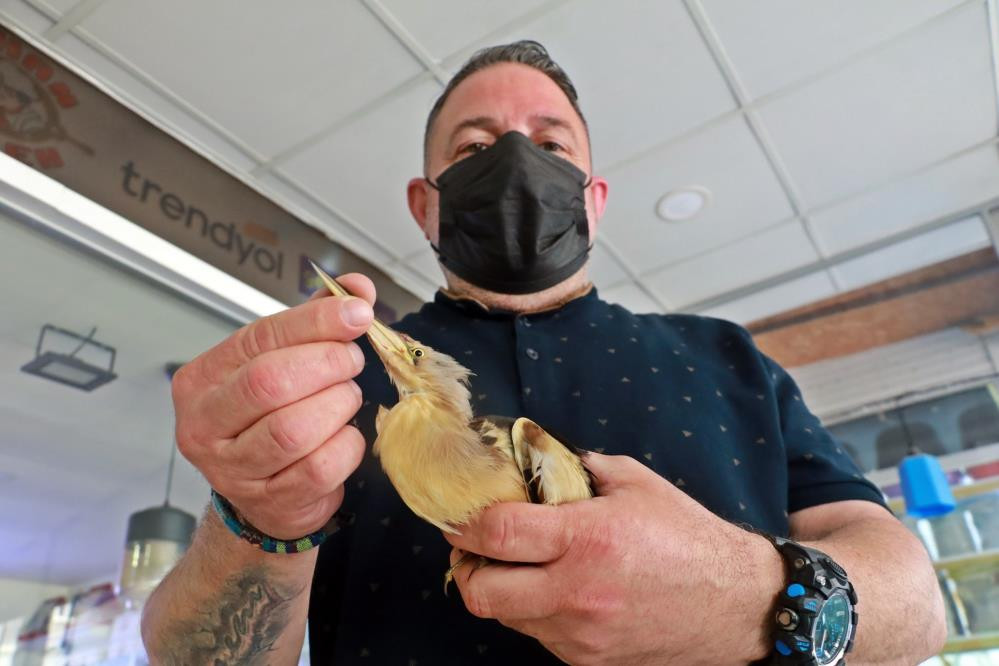 Bahçeye çıkınca göz göze geldi. Hemen kafese koydu - Resim : 8