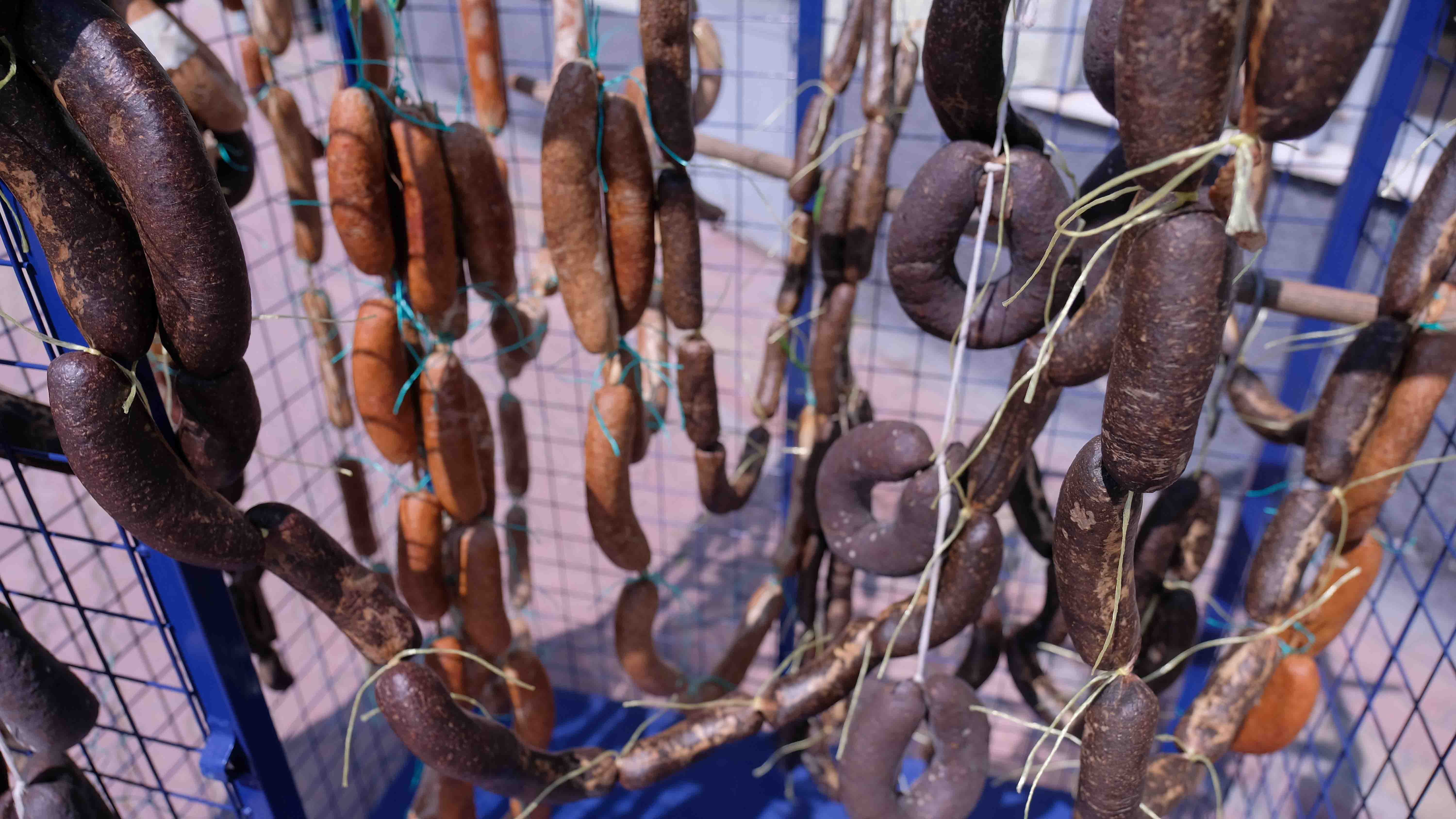 Atık yemeklerden köpek maması üretti - Resim : 3