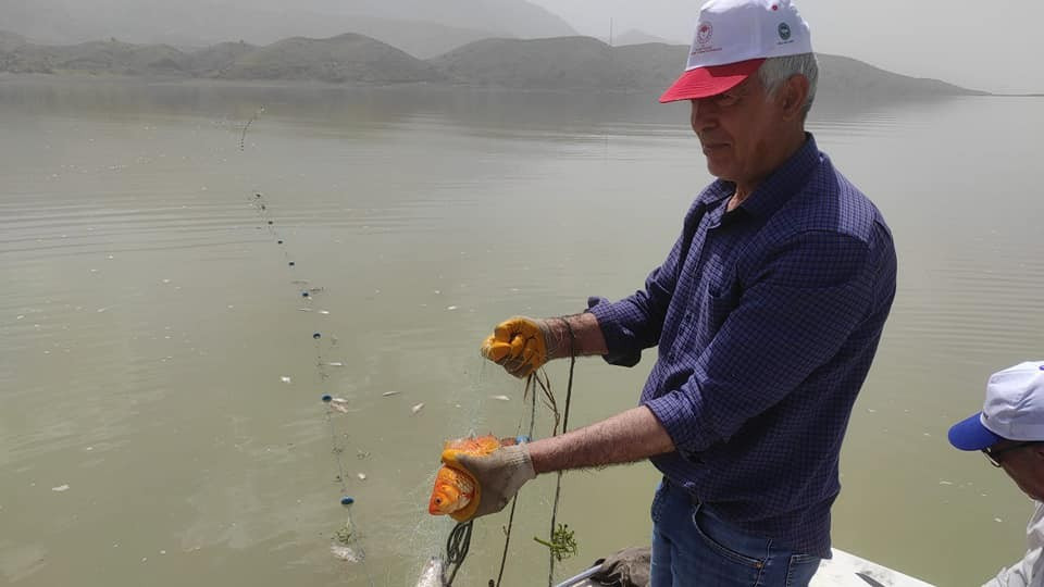 Balık avlayanlara şok baskın - Resim : 3