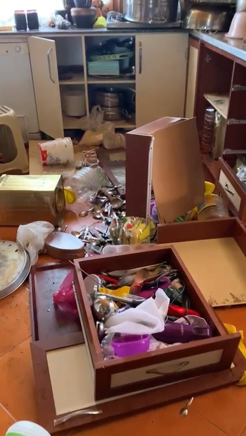 Aç kalan ayılar işletmeyi talan etti - Resim : 1