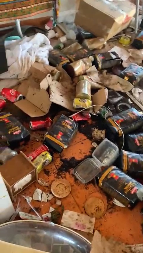 Aç kalan ayılar işletmeyi talan etti - Resim : 2