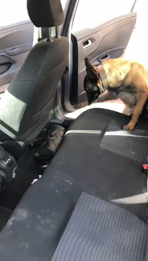 Çanakkale’de piyasa değeri yaklaşık 2,5 milyon olan uyuşturucu ele geçirildi - Resim : 1