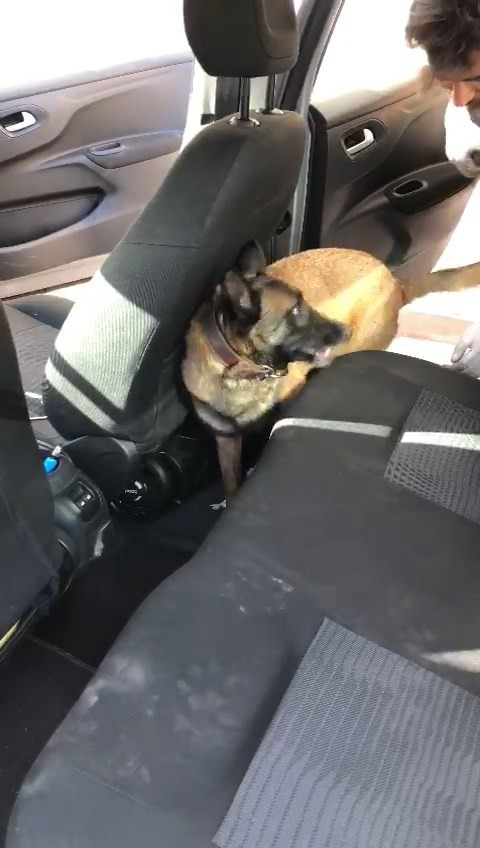 Çanakkale’de piyasa değeri yaklaşık 2,5 milyon olan uyuşturucu ele geçirildi - Resim : 2