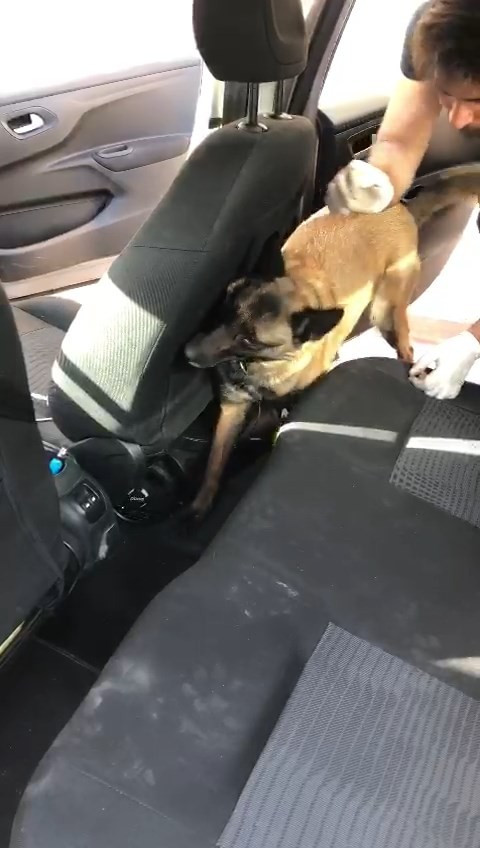 Çanakkale’de piyasa değeri yaklaşık 2,5 milyon olan uyuşturucu ele geçirildi - Resim : 3