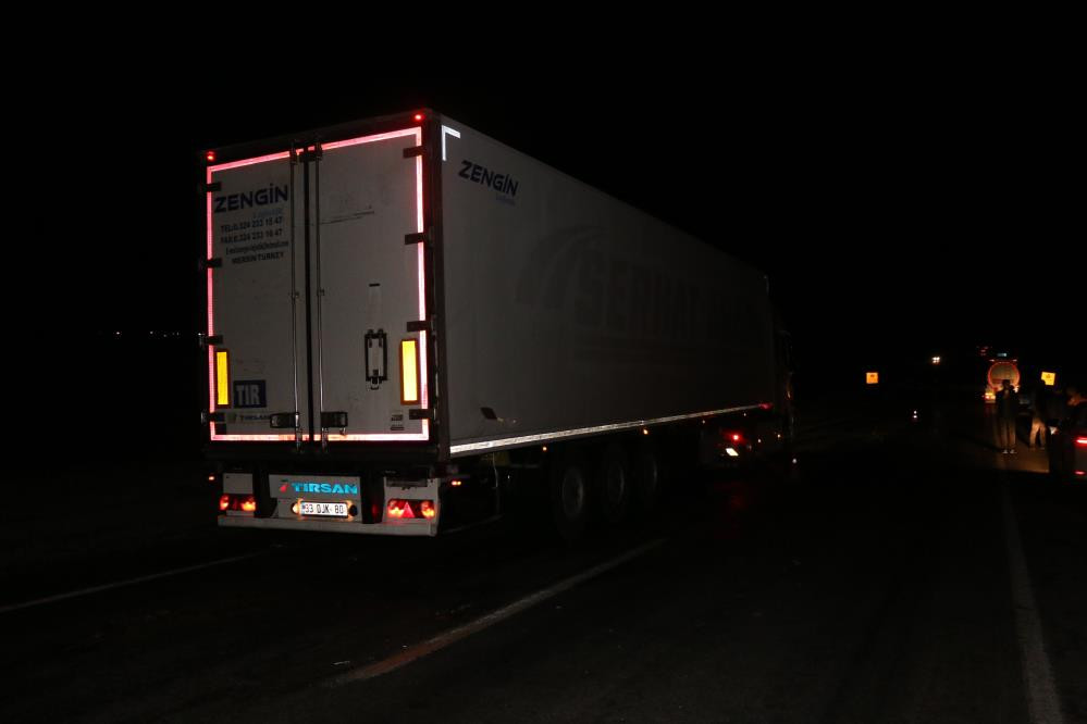 Koyun sürüsüne tanker daldı. Sonuç korkunç - Resim : 4