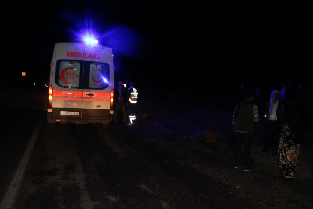 Koyun sürüsüne tanker daldı. Sonuç korkunç - Resim : 6