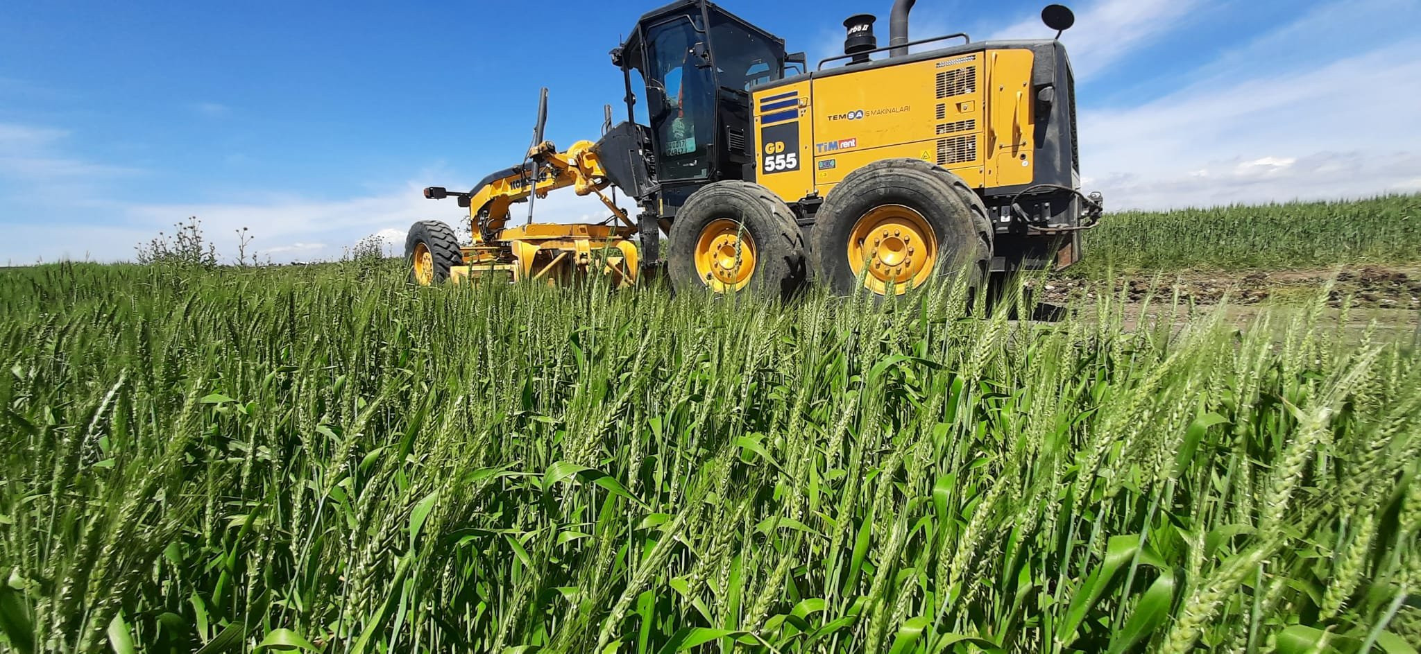 İstanbul’un tarım arazileri kentleşme tehdidinde - Resim : 4