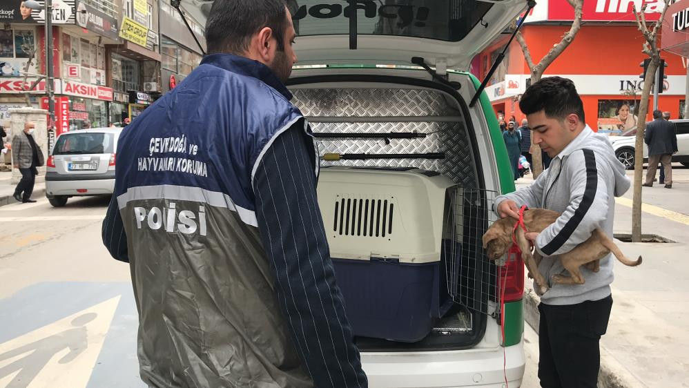 Pitbull operasyonu, cezalar peş peşe geldi - Resim : 4