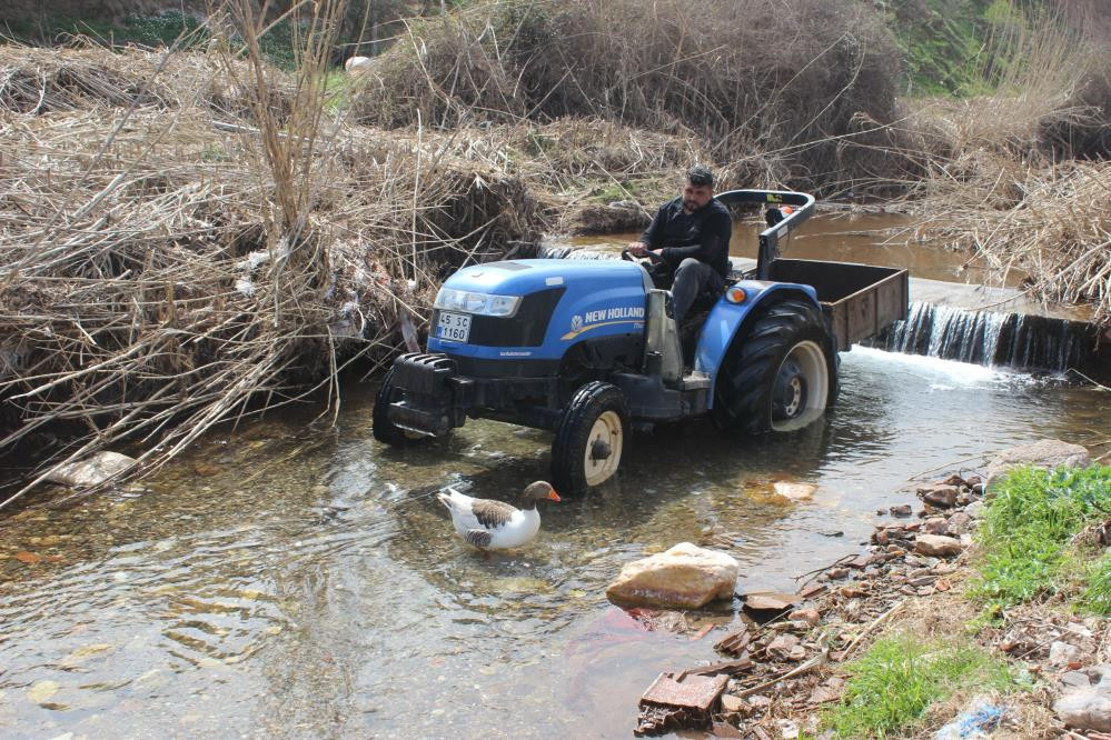 Yetişemeyince uçarak takip ediyor - Resim : 4