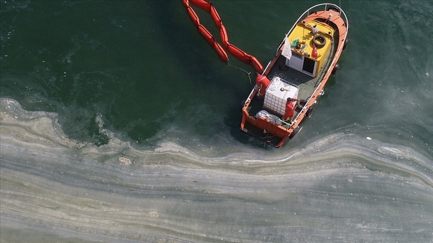 İşte Marmara’daki müsilajın nedeni! Raporda dikkat çeken detaylar… - Resim : 1