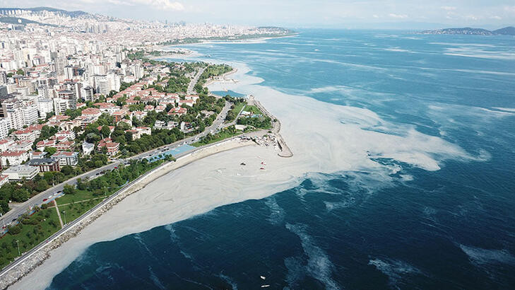 İşte Marmara’daki müsilajın nedeni! Raporda dikkat çeken detaylar… - Resim : 2