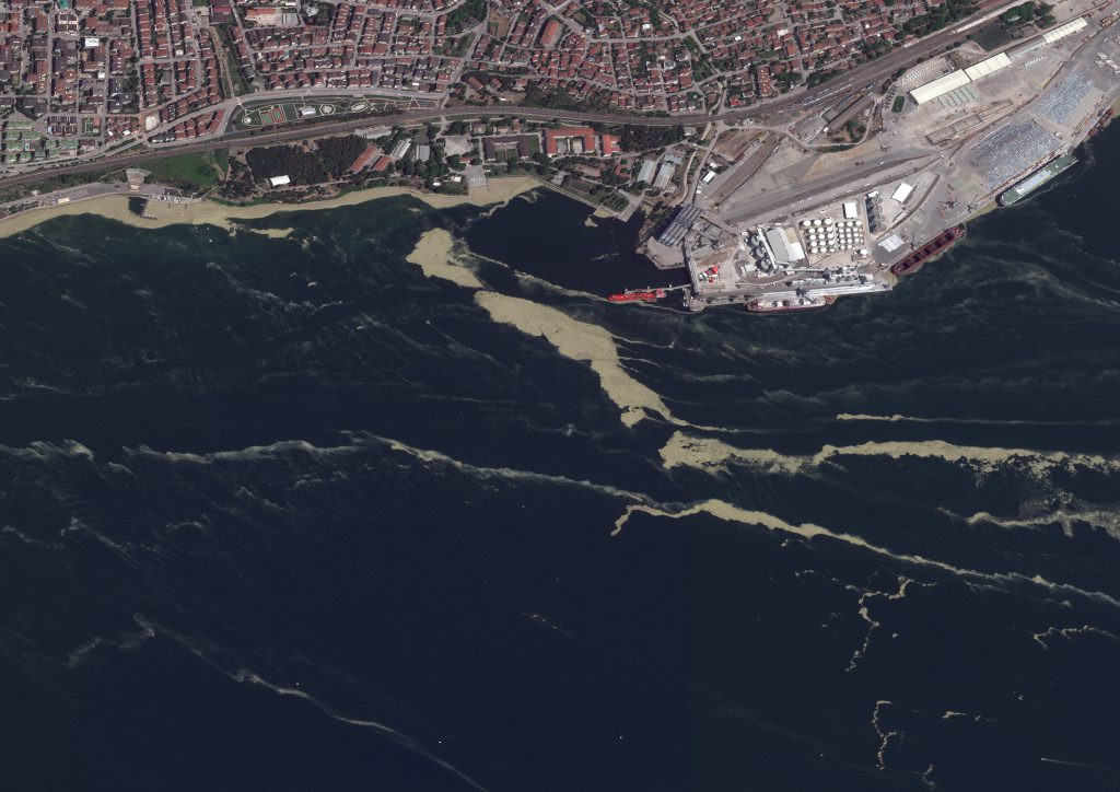 İşte Marmara’daki müsilajın nedeni! Raporda dikkat çeken detaylar… - Resim : 13