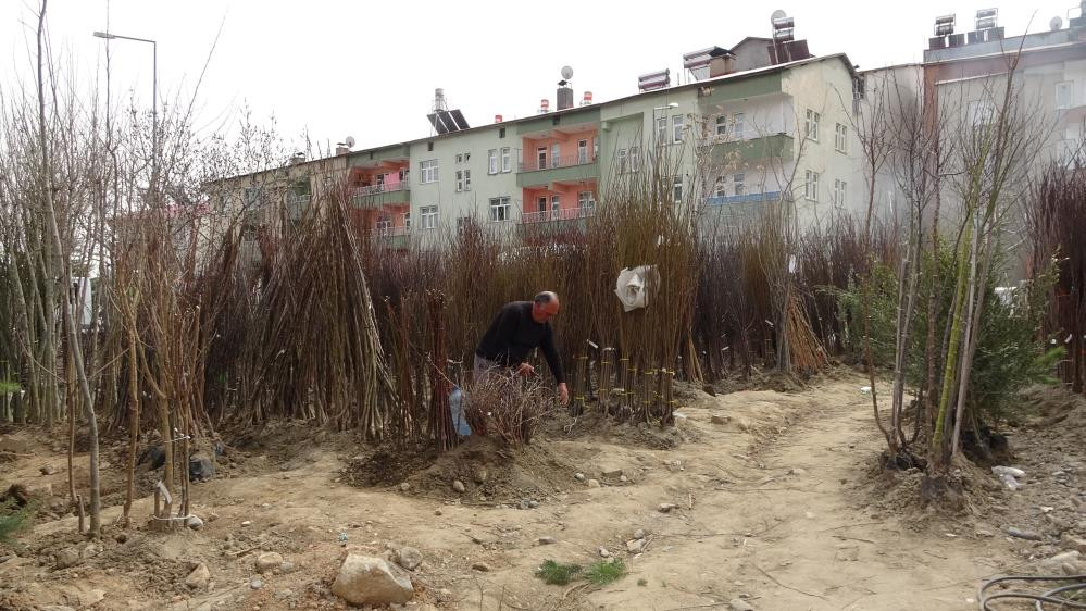 Baharın müjdecisi fidanların satışı başladı - Resim : 4
