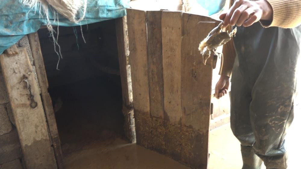 Muş’ta sağanak taşkına neden oldu - Resim : 8