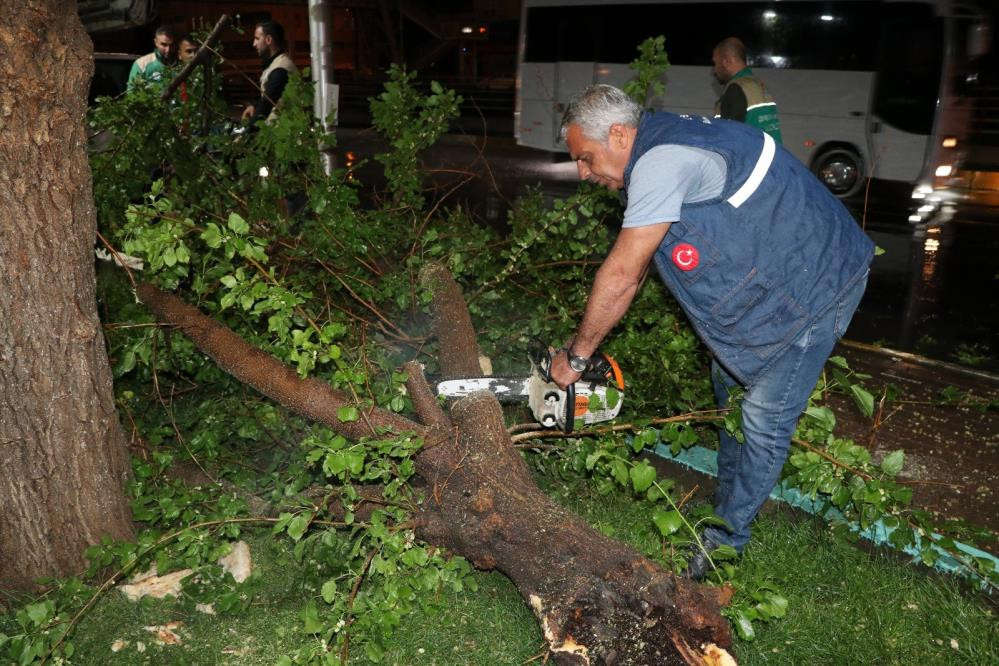 Fırtına ağaçları devirdi - Resim : 5