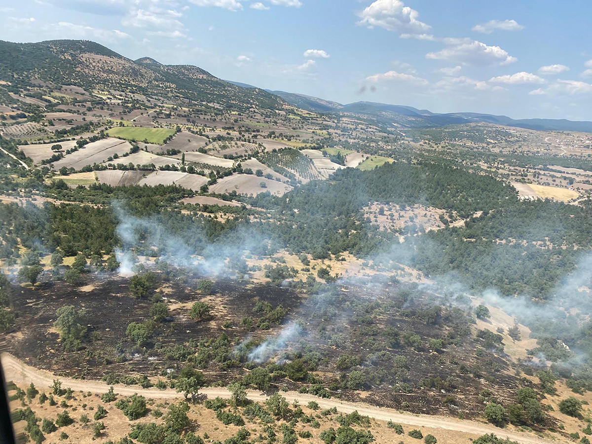 Manisa'daki orman yangını büyümeden söndürüldü - Resim : 5