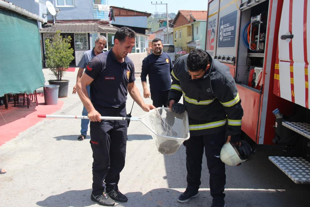 Kahvehaneci gördü okey masası dağıldı. İtfaiye yardımlarına koştu - Resim : 3