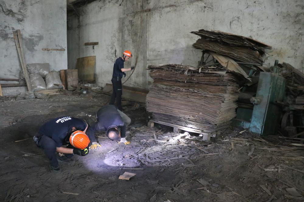 Tilkiler kereste fabrikasını işgal etti - Resim : 1