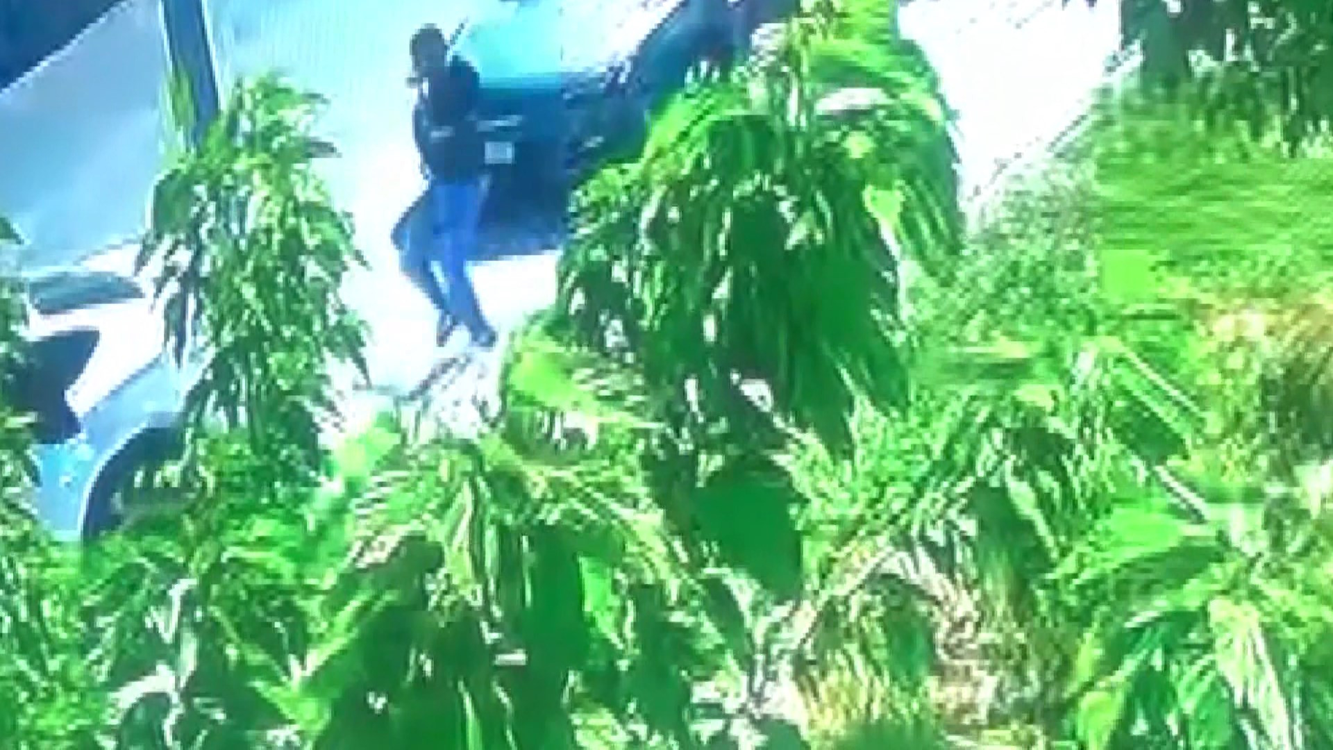 İran'dan mehir için peşine takıldı, Başakşehir'de vurdu - Resim : 1