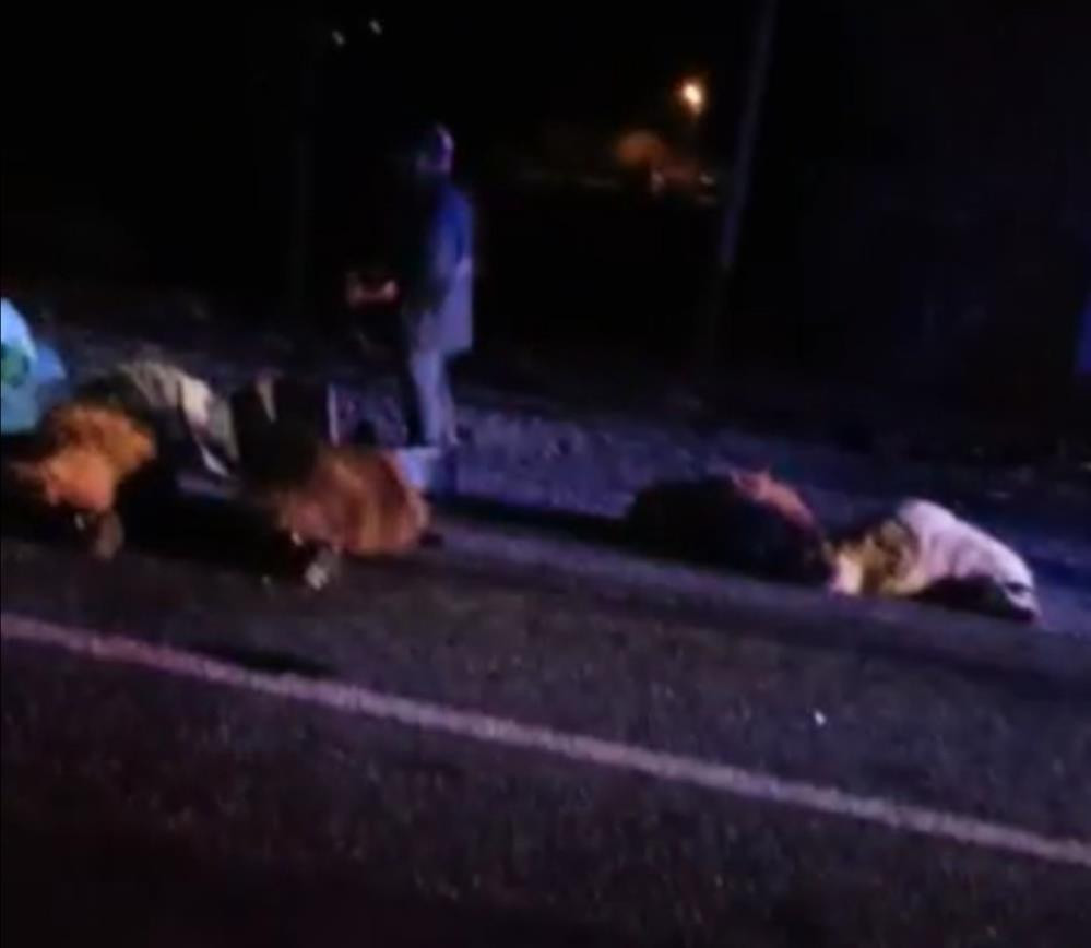 Koyun sürüsünü otomobil biçti - Resim : 1