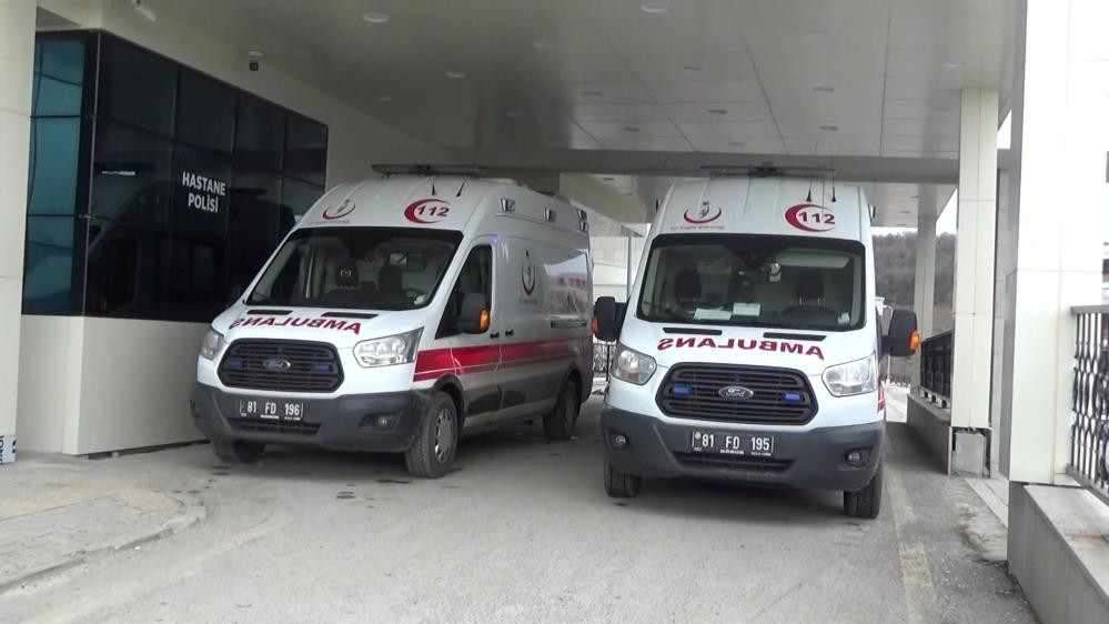 Düzce'de anne ile 3 çocuğu hastanelik oldu - Resim : 1