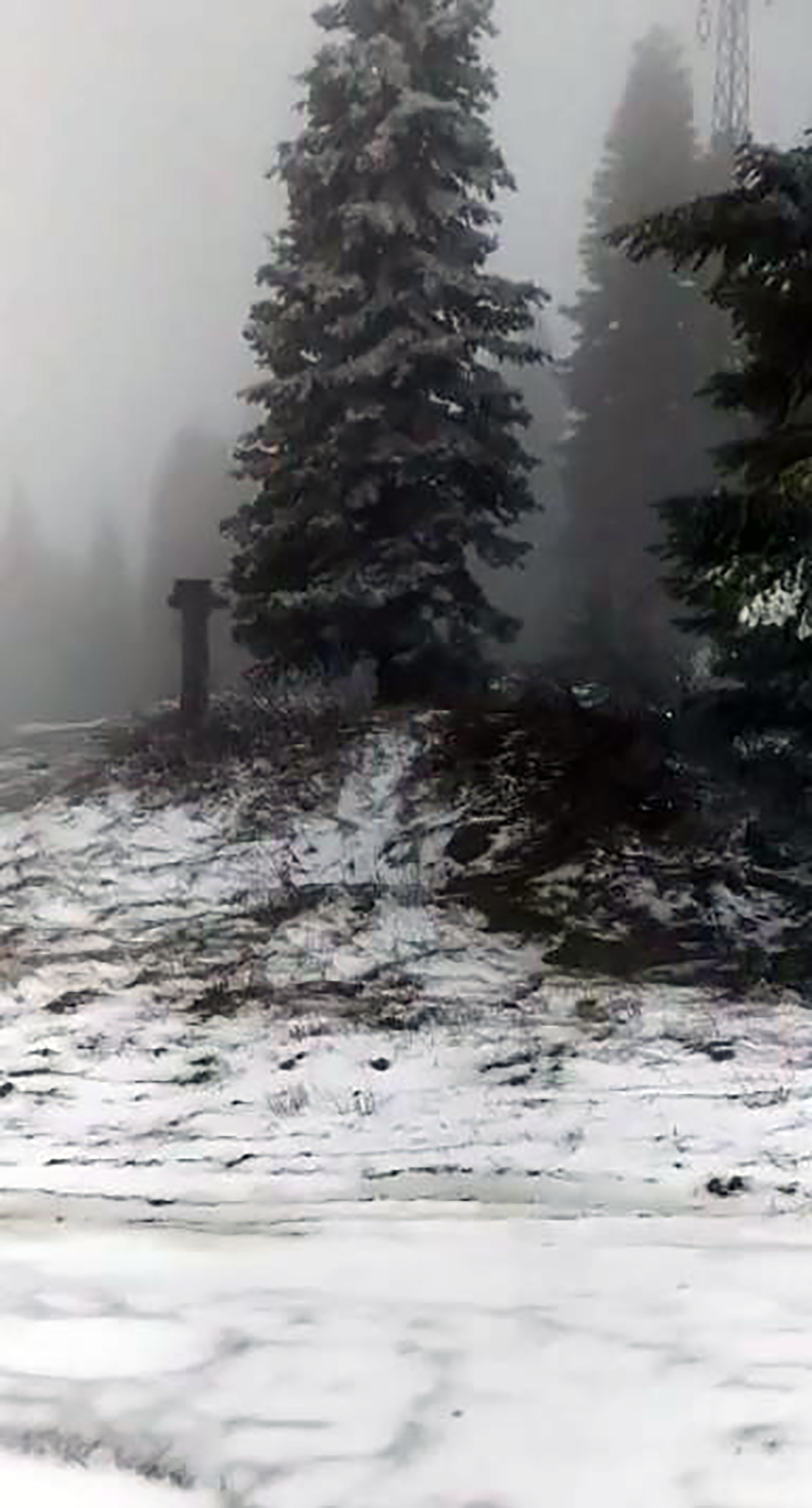 Çankırı'da mayıs karı - Resim : 1