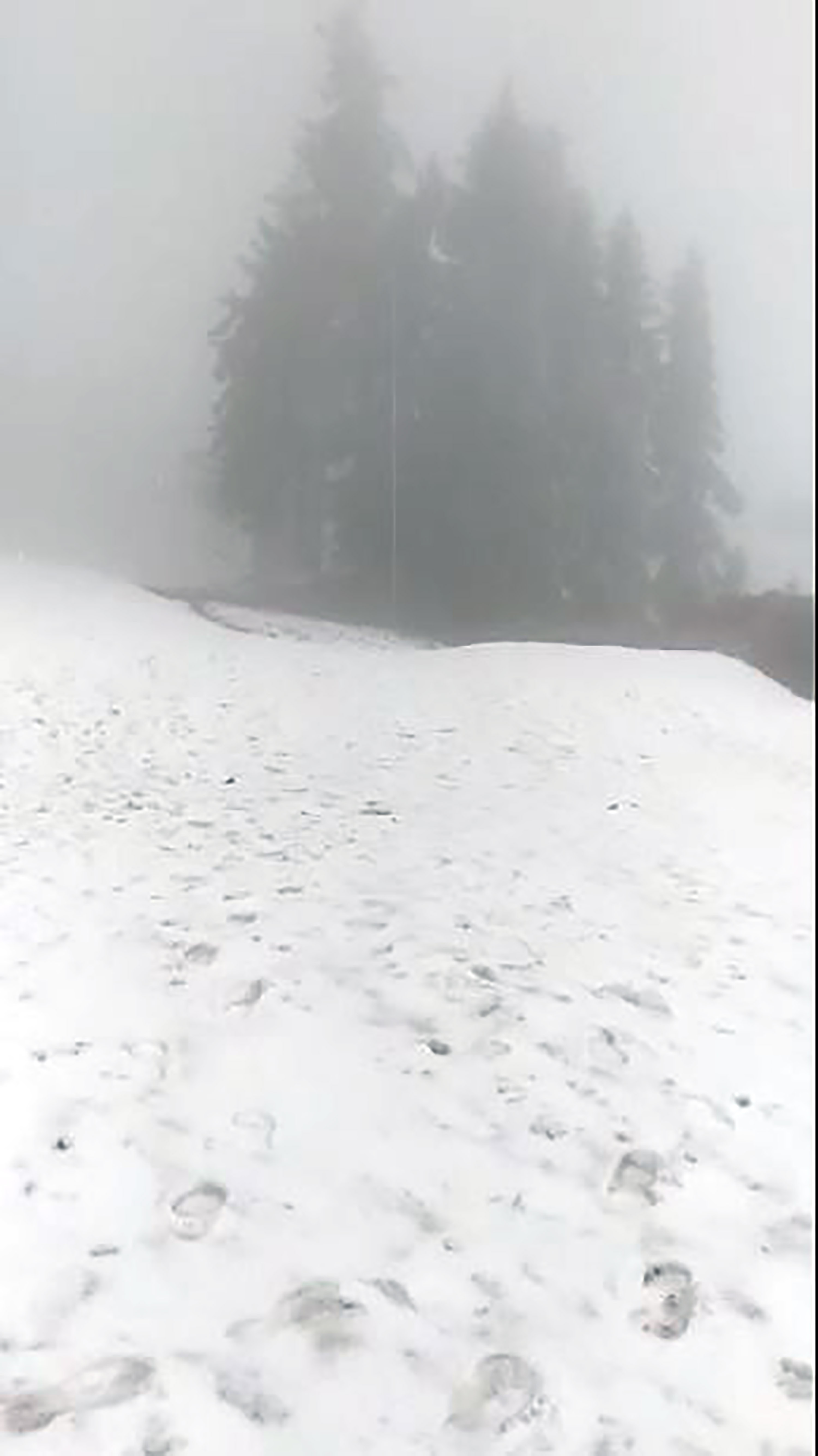 Çankırı'da mayıs karı - Resim : 2